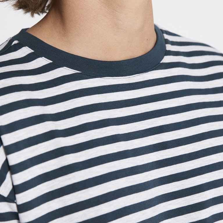 Striped long sleeve tee "Lion stripe"
